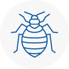 Bed Bug Extermination In Blytgh