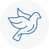 Bird Prevention Blytgh
