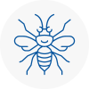 Blytgh Hornet Nest Removals