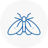 Moth Control Specialists In Blytgh