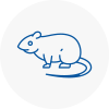 Rat Control Blytgh