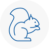 Blytgh Rodent Removals
