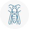 Blytgh Wasp Nest Removal